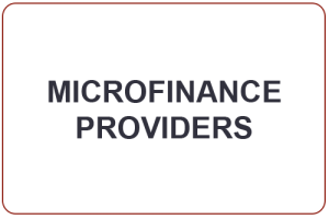 Gravity Quest Consultancy deals with Microfinance Providers in Eswatini